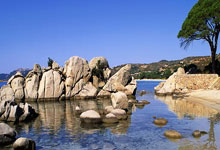 C7娱乐：律师控诉：马拉多纳去世前住的房子是个猪圈！浴室不到1米宽.